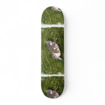Baby Duck Swimming Skateboard