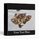 Baby Ducks Photo 3 Ring Binder