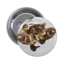 Baby Ducks Photo Buttons