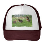Baby Ducks Photo Trucker Hats