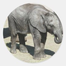 baby elephant 2 round sticker