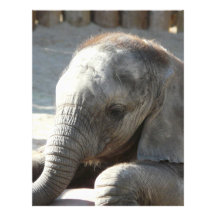 baby elephant custom letterhead