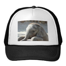 baby elephant hats