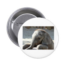 baby elephant pins