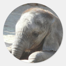 baby elephant round sticker