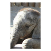 baby elephant stationery design