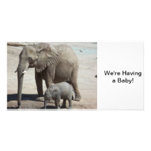 Baby Elephant with Mommy Photo Greeting Card
