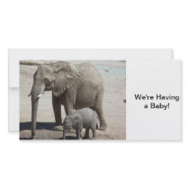 Baby Elephant with Mommy Photo Greeting Card