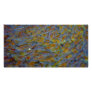 Baby Fish and Eggs Photo Card
