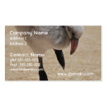 Baby Flamingo Business Cards