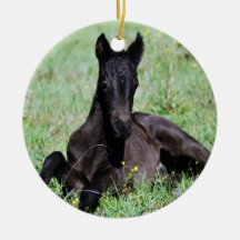 Baby foal lying in the meadow christmas tree christmas ornaments