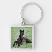Baby foal lying in the meadow key chain