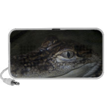 Baby Gator Speaker System