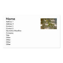 Baby Geese on a Bed of Roses Business Card Template