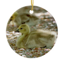 Baby Geese on a Bed of Roses Christmas Ornaments
