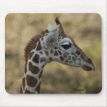 Baby Giraffe 01 Mousepads
