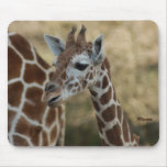 Baby Giraffe 02 Mousepads