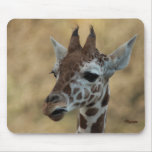 Baby Giraffe 13 Mouse Pads