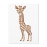 Baby Giraffe postcards