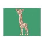 Baby Giraffe Post Card