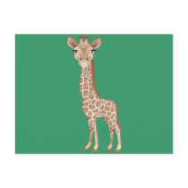 Baby Giraffe Post Card