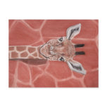 Baby Giraffe Postcards