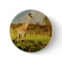 Baby giraffe wildlife badges & buttons