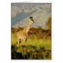 Baby giraffe wildlife cards