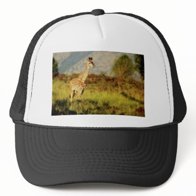Baby Giraffe wildlife hats by Rowood