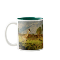 Baby giraffe wildlife mugs & cups