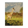 Baby Giraffe wildlife postcards