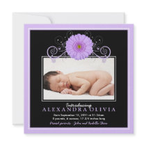 Baby Girl Photo Daisy Birth Announcement