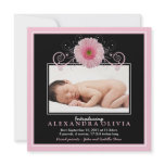 Baby Girl Photo Daisy Birth Announcement