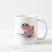 Baby Gobi Rat Mugs