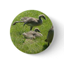 Baby Goose Stretch Button