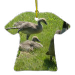 Baby Goose Stretch Ornament