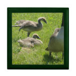 Baby Goose Stretch Tile Giftbox