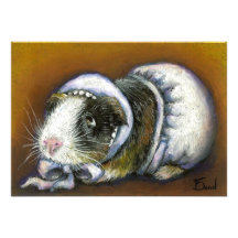 Baby Guinea Pig Announcements