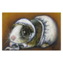 Baby Guinea Pig