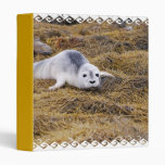 Baby Harbour Seal Binder