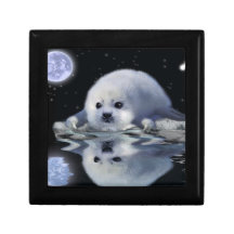 Baby Harp Seal in Ice Floe Art Tile Gift Box