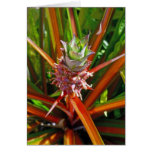 Baby Hawaiian Pineapple Greeting Cards