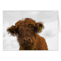 Baby highland cow greeting card grußkarten