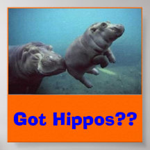 baby-hippo, Got Hippos?? Posters