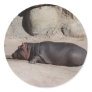 Baby Hippo Round Sticker