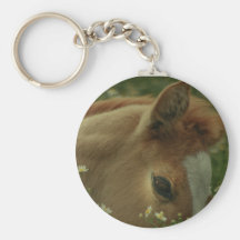 Baby Horse Keychain