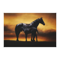 Baby horse suckling from his mom canvas print