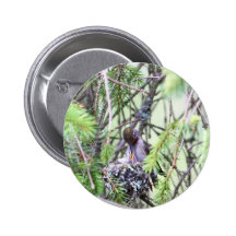 Baby Hummingbirds in a Nest Pin