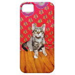baby iPhone case iPhone 5 Cases