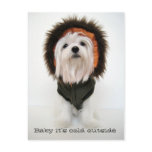 Baby it's Cold Outside Postcard